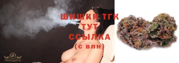 индика Сатка