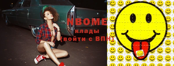 индика Сатка